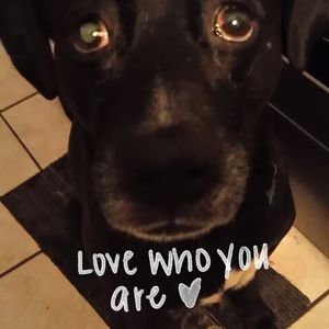 Meet your Posher, Clay